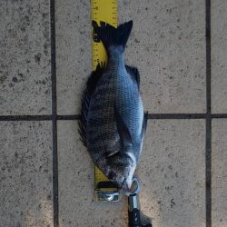 お盆前に　～さざなみ公園～