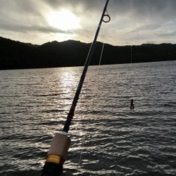 今日も朝６時から大隅湖行ってきました