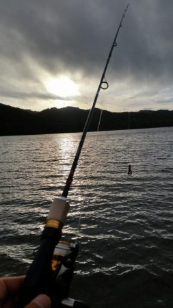 今日も朝６時から大隅湖行ってきました