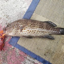 リーサルウェポン改