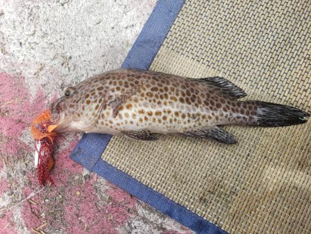 リーサルウェポン改