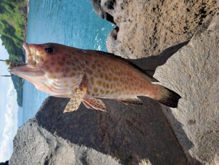 ライトロックゲーム