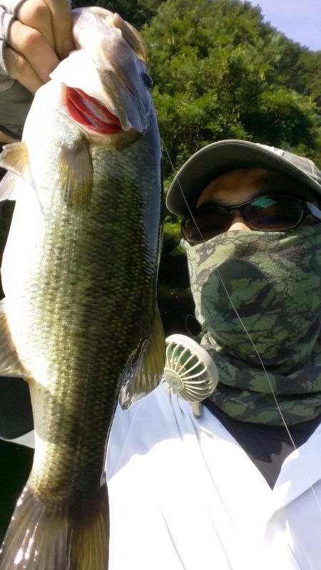 スリムクローラー！