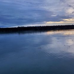 写真ぶれてすみません。