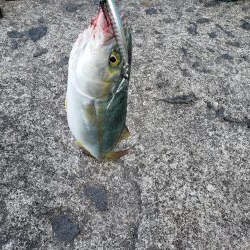 モニターのテスト