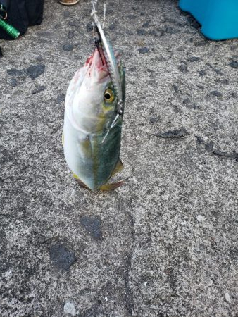 モニターのテスト