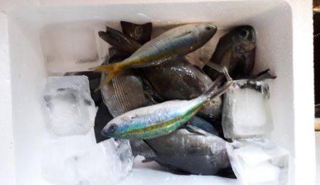 サビキでの投げ釣り！　但し、暑い！！　水分補給は必須ですね！