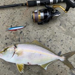 爆釣シオ！ ツバス！ カマス！