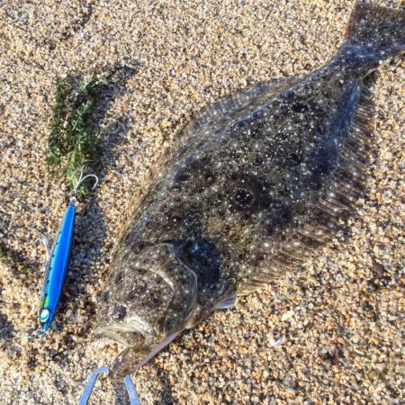 北条海岸ヒラメ釣り