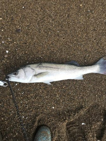 台風後の荒れサーフ