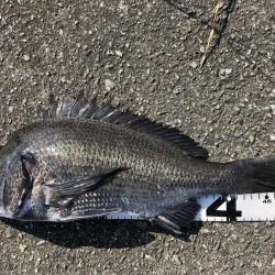 イチノ兄弟、釣果！