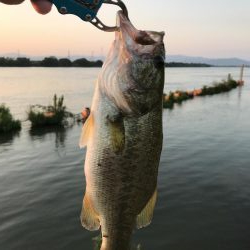 今日も同じところ