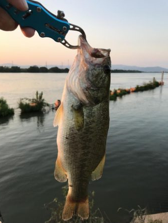 今日も同じところ
