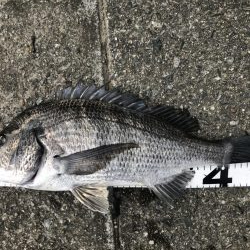 イチノ兄弟、釣果！！