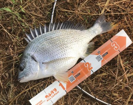 チヌポッパー最高！