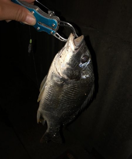 強制日光浴野郎