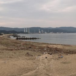 飲ませでマゴチゲット！