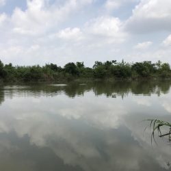 あたりは多いが…