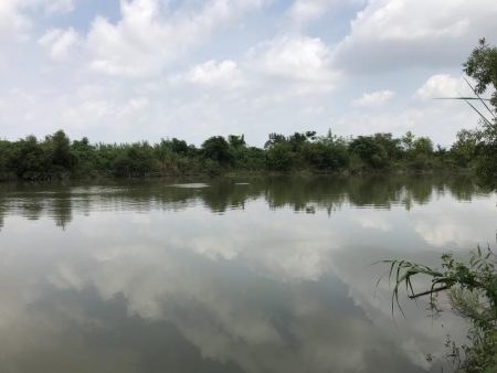 あたりは多いが…