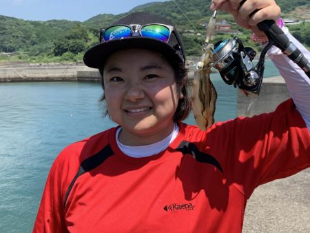 初めてイカ釣れました