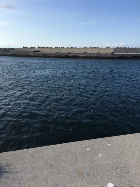 函館港のソイ釣り