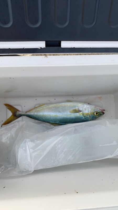 とりあえず当たりあり