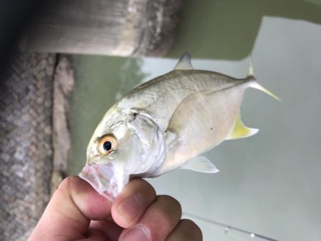 楽しいメッキ ！