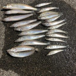 灼熱のキス釣り