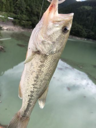 活性良くなったー