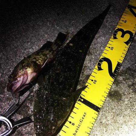 アジングロッドで40UPマゴチ！！