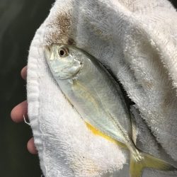 台風後メッキは!?