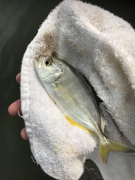 台風後メッキは!?