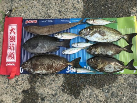 みんなが気になる筏釣り
