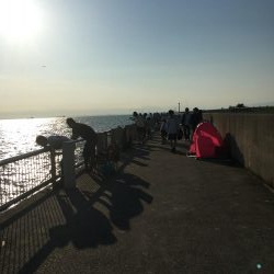 サッパは美味しいよね!