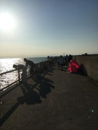 サッパは美味しいよね!