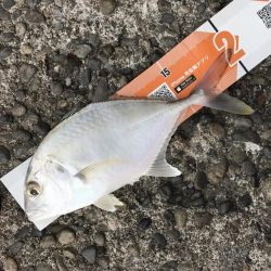 サイズアップメッキ！