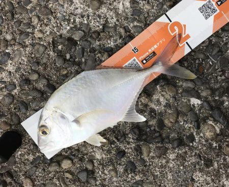 サイズアップメッキ！