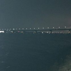 今週も釣れたー‼︎