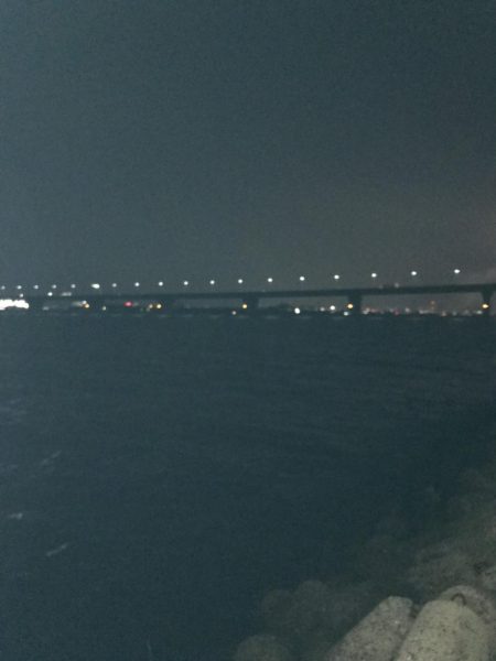 今週も釣れたー‼︎