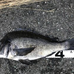 イチノ兄弟、釣果！