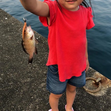 ファミリーフィッシング