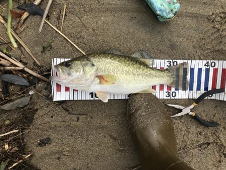 久しぶりのバス釣り