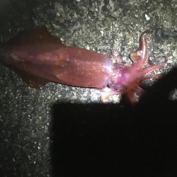 なかなか厳しい