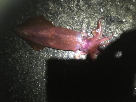 なかなか厳しい