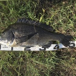 イチノ兄弟、釣果！！