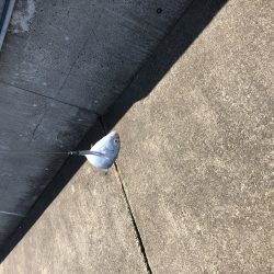 初メッキアジ！