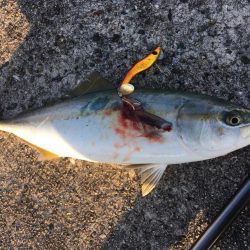 メタルマルでツバス