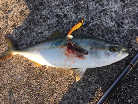 メタルマルでツバス