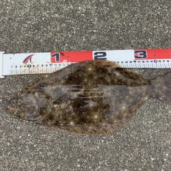 ショアジギング