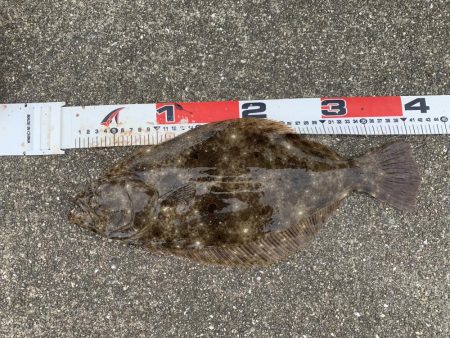 ショアジギング